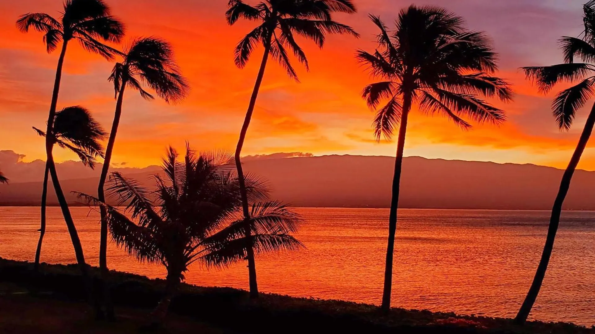 Lauloa 410 - Top Floor, Direct Ocean Front, Stunning Renovation, Wi-Fi, Split Ac Wailuku