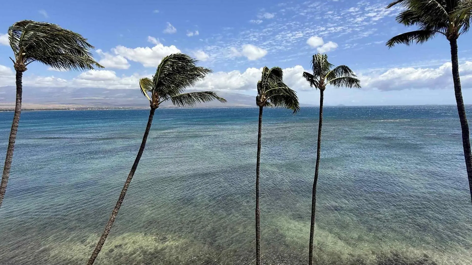 Lauloa 410 - Top Floor, Direct Ocean Front, Stunning Renovation, Wi-Fi, Split Ac Wailuku 0*,